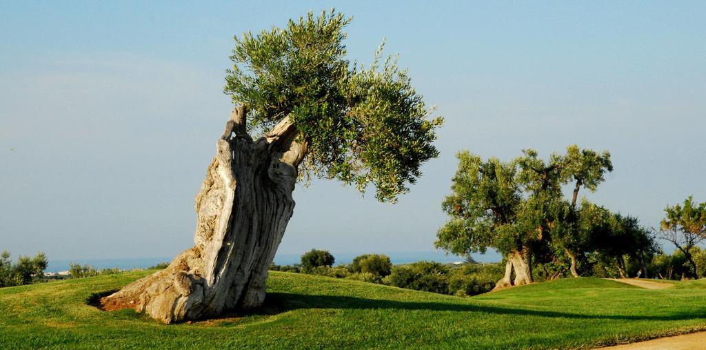 Albergo Masseria Refrigerio Ostuni Ngoại thất bức ảnh