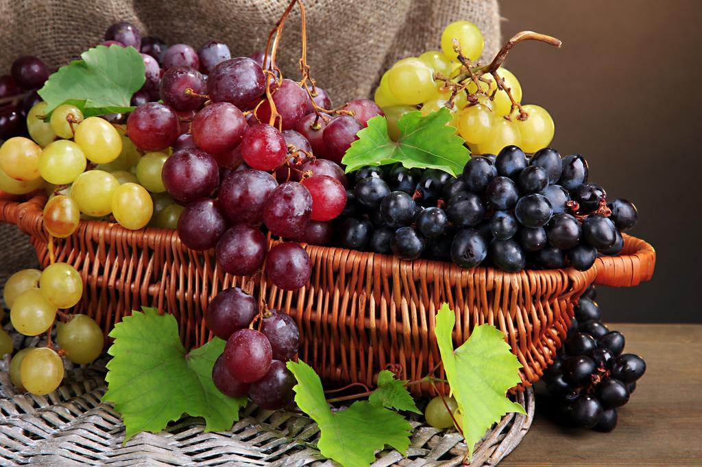 Albergo Masseria Refrigerio Ostuni Ngoại thất bức ảnh