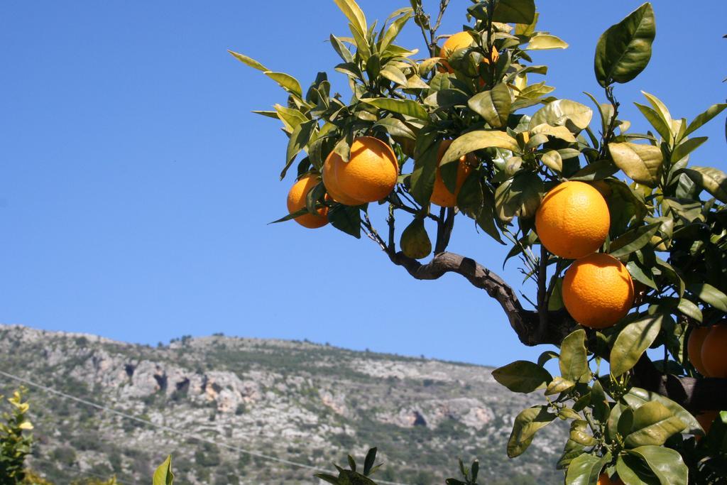 Albergo Masseria Refrigerio Ostuni Ngoại thất bức ảnh
