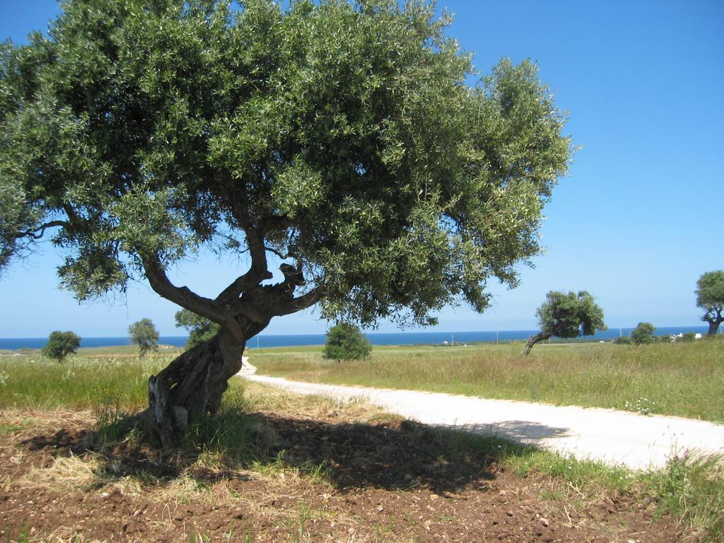 Albergo Masseria Refrigerio Ostuni Ngoại thất bức ảnh